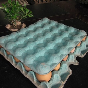 Khay trứng nhỏ/máy hộp trứng phù hợp với khuôn/khuôn - Product Image 2