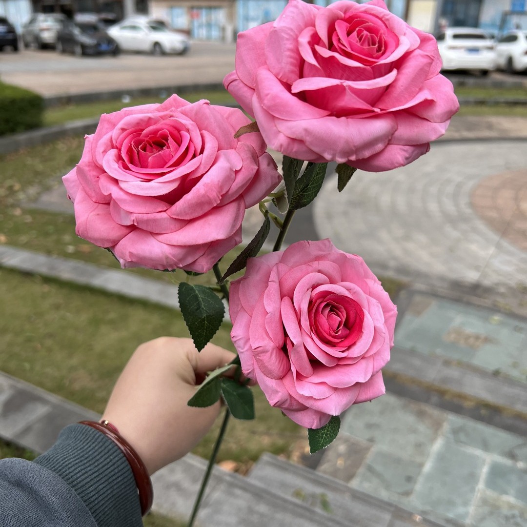 3 têtes de roses rouges frisées