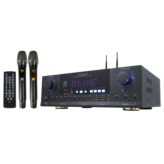 Home KTV Karaoke Power Amplifier with DSP 2.0 Channel Audio Receiver Wireless Microphone Supports USB Function-Metal Bt