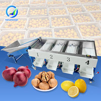 Machine de tri et de lavage des fruits et légumes OCEAN pour tomates cerises, pommes de terre, mini-pommes, olives vertes et agrumes