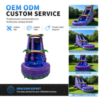 Toboggan aquatique gonflable commercial en PVC, combo tropical palmier avec piscine et toboggan pour adultes, idéal pour la location