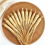 Racine de ginseng du Jilin pour les fabricants d'aliments santé, les distributeurs d'herbes et les pharmacies de médecine traditionnelle chinoise