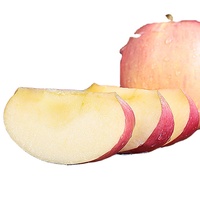 Fuji Appel Rode Appel Zoete Sappige Voeding Gezond en Rood Fruit Fabriek Leverancier Groothandelsprijs