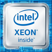 Untuk Prosesor Xeon E-2414 4 Core 12M Cache 2.60 GHz Soket FCLGA1700 Dukungan Non-Virtualisasi untuk Server Baru R360 R260