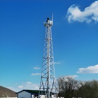 Tour d'observation en acier galvanisé à chaud de haute résistance pour la patrouille côtière et la surveillance de sécurité
