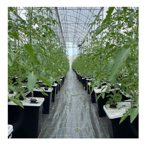 Nuovo Design del sistema a barile idroponico PP1 2 4 fori per la coltivazione di ortaggi e frutta in serra - Product Image 2