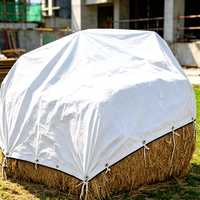 Bâche de sol imperméable robuste pour voiture, bâche en PE blanche