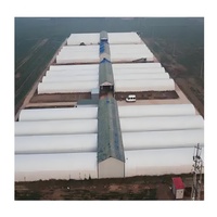 Commerciële Moderne Champignonkas Stabiele Single Pc Sheet Hydrocultuur Landbouwkas Kleine Grote Groenten Groeien