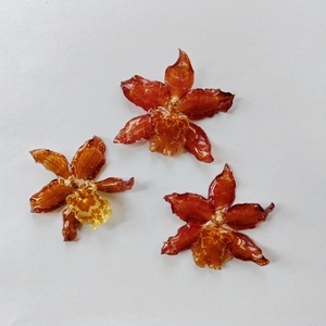 Collana con ciondolo a forma di fiore di orchidea essiccato e orecchini in resina epossidica naturale a forma di farfalla orchidea per decorazioni di gioielli - Product Image 6