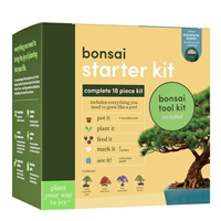 Bonsaï jardinière boîtes jardin pots de culture kit pots de fleurs extérieur moderne