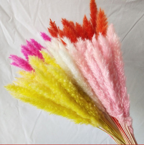 DREA estilo bohemio Pequeña hierba de Pampa muchos colores decoración de flores secas naturales para la decoración del hogar de la boda - Product Image 1