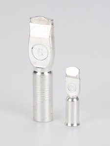 Adaptateur de borne d'alimentation 50A/120A, cosses de câble à sertissage à froid plaquées étain, connecteurs de fils de type aiguille, cosses à broches, rail DIN, OEM - Product Image 4