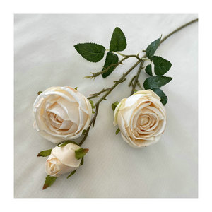 Fleurs artificielles Queyiyi Champagne, branches en soie et plastique de 10cm à 30cm, pour mariage, décoration intérieure et photographie. - Product Image 5