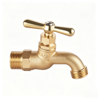 Adaptateur de raccordement d'eau en laiton OEM pour robinet de cuisine, raccord de tuyau d'arrosage de jardin, vanne de remplacement pour raccord de robinet d'irrigation