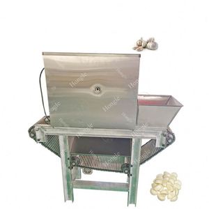 Machine d'épluchage de gingembre et d'ail automatique de bonne vente - Product Image 5