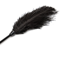 Fouet à plumes Bdsm, fouet de bondage, érotique, punition, fétiche, fouet de cavalier, jouets sexuels Bdsm, jeu pour adultes