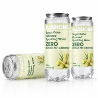 Eau gazeuse fruitée sans sucre, faible en gras et en calories, MOQ flexible, boisson saine en bouteille 300ml*24, échantillon gratuit d'usine