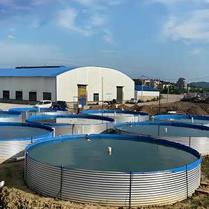 Büyük açık galvanizli çelik balık yetiştiriciliği tankı RAS teknolojisi balık karides yetiştiriciliği için ISO9001 sertifikalı 1000L-500000L kapasitesi - Product Image 3