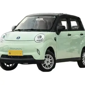Hot Sale Luxus Plug Electric Eec Fahrzeug für Erwachsene Elektro fahrzeug für Familien Ling Bao Box Liqingzhao Use Car