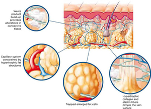 10 pièces pack North Moon vente en gros 100% Original Yoni perles détox point propre yoni détox perles à base de plantes <span class=keywords><strong>tampon</strong></span> bien-être - Product Image 4