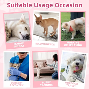 Pañales Desechables para Perros Machos, Pañales para Mascotas, Almohadillas Absorbentes para Orina, Suministros de Entrenamiento para Mascotas - Product Image 4