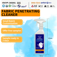 Pasokan Langsung Pabrik OEM Cairan Penetrant Cuci Pakaian Konsentrasi Tinggi Grosir Label Pribadi Logo dan Aroma Sesuai Pesanan 500ml