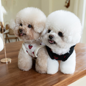 <strong>Hot</strong> Sale Autumn Winter Sweet <strong>Pet</strong> Dog Princess Style Strawberry Print Polyester Vest XL Size <strong>Clothes</strong> with Good - Product Image 3