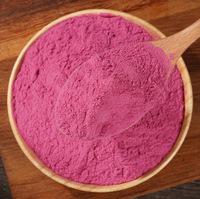 Cranberrypoeder Natuurlijke Voedingskwaliteit Bulk Leverantie Zuiver Cranberry Fruit & Sap Poeder Spraygedroogd 1kg Jiangsu