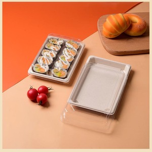 Biodegradable Disposable Dishes Sugarcane Bagasse Pulp Plates Meat Food Serving Trays Disposable Trays