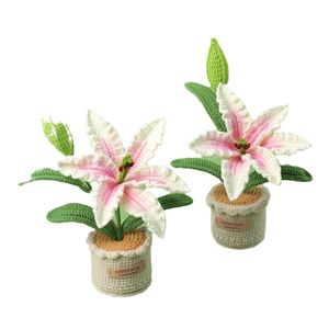 Maceta Decorativa Hecha a Mano con Flores de Zephyranthes Candida Tejidas a Crochet para Regalo de Halloween, Navidad o San Valentín - Product Image 5