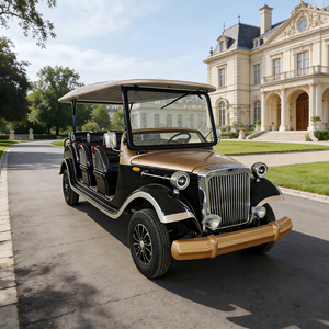 Voiture électrique classique vintage de haute qualité, meilleur prix, vente en gros, bus et voiture de tourisme - Product Image 5