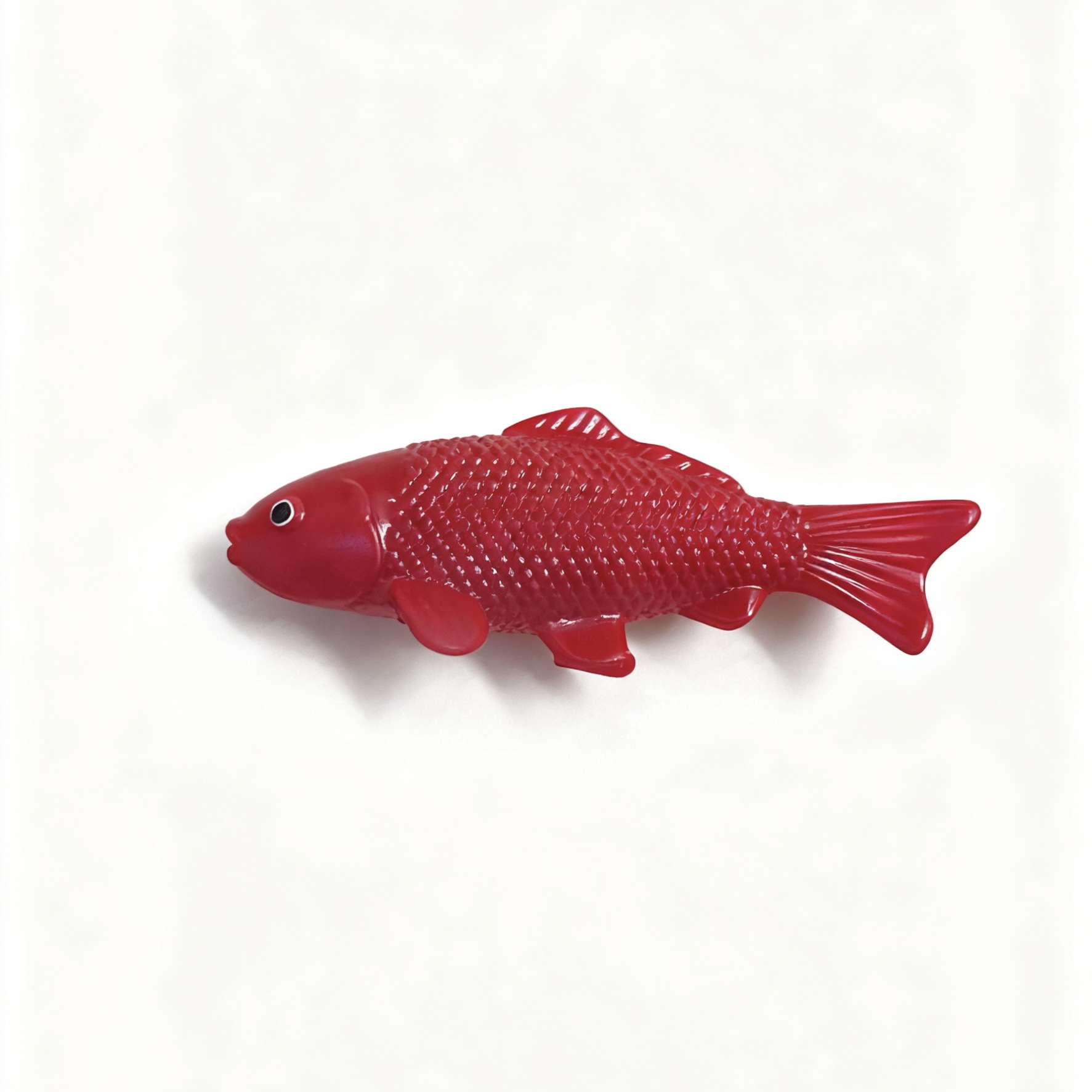 Koï rouge