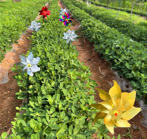 Éolienne anti-oiseaux à 8 pales avec vitesse du <span class=keywords><strong>vent</strong></span> rapide et lumière laser pour balcons, vergers et potagers - Product Image 5