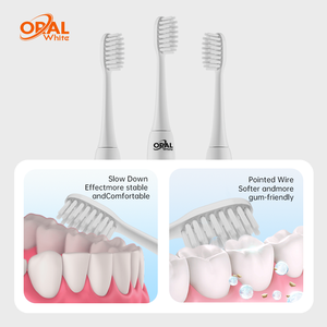Meilleure vente Brosse <span class=keywords><strong>à</strong></span> <span class=keywords><strong>dents</strong></span> électrique <span class=keywords><strong>à</strong></span> ultrasons étanche avec logo personnalisé <span class=keywords><strong>à</strong></span> bas <span class=keywords><strong>prix</strong></span> pour usage domestique professionnel - Product Image 5