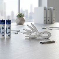 Piles rechargeables Ni-Zn AA 1,6 V 2000 mWh avec USB intégré, kit de 4 pièces pour équipement d'urgence