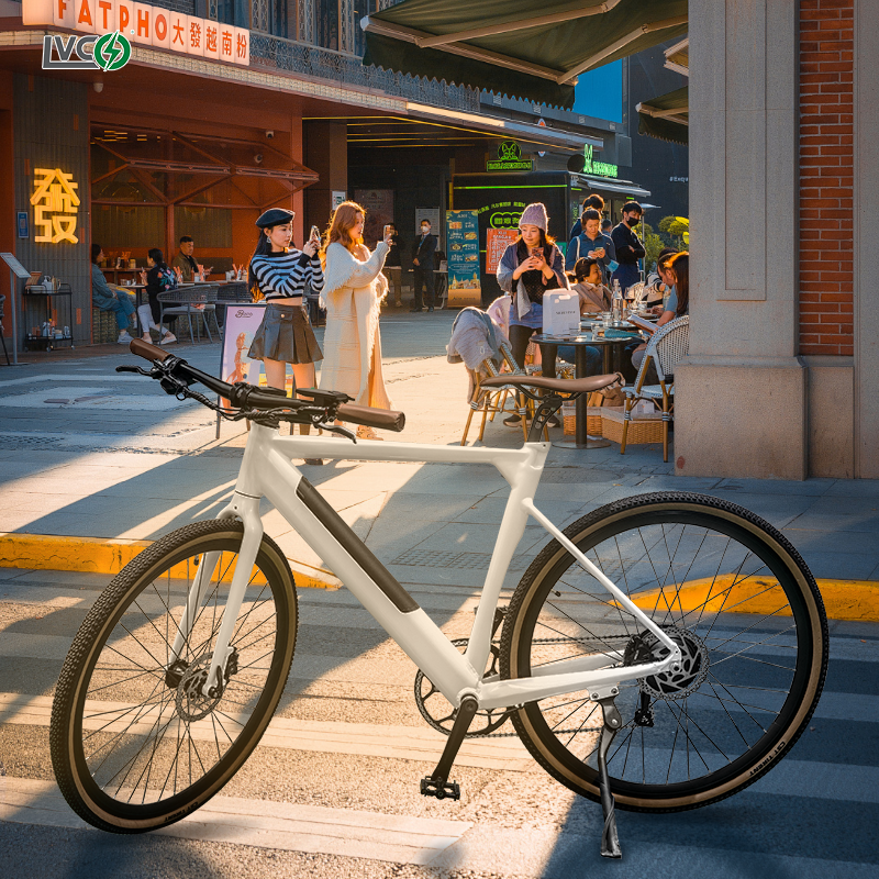 Bangladesh Bicycle Price Quality Electric Bikes for All