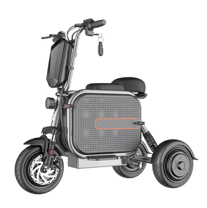 Scooter de movilidad de bicicleta eléctrica de <span class=keywords><strong>3</strong></span> ruedas para adultos 2023 48V con cesta para mascotas y motores sin escobillas de 500W/1000W - Product Image 2