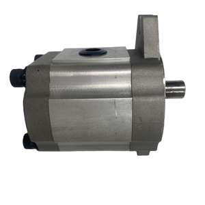 Remplacement Huamao pour pompe à engrenages hydraulique HEFEI CHANGYUAN CBT-F425-AFHL - Pompe à huile pour chariot élévateur à fourche haute pression, utilisation en construction - Product Image 4