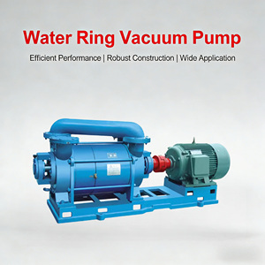 ปั๊มสุญญากาศน้ำหมุนเวียนสแตนเลส SK 5.5kW ทนทานต่อการกัดกร่อน สำหรับการกรองสุญญากาศในอุตสาหกรรม - Product Image 1