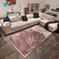 Décor à la maison sol en peluche Shaggy Polyester Moquette Machine faite Polyester antidérapant salon tapis tapis moelleux polonais tapis