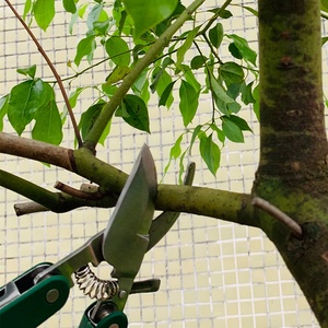 Phổ Biến Đa-Mục Đích Vườn Bộ Dụng Cụ Tiện Ích <span class=keywords><strong>5</strong></span> Trong <span class=keywords><strong>1</strong></span> Thép Không Gỉ Vườn Cắt tỉa Kéo Kéo Cho Nhà Vườn - Product Image 4