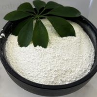 Hydroxyde de calcium de haute pureté et de grande blancheur, poudre de chaux calcinée pour la fabrication du papier