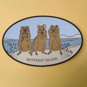 Parche Termoadhesivo de Chenilla con Diseño Personalizado de Oso, Ecológico y Tejido, para Ropa y Gorras, Venta al Por Mayor - Product Image 1