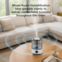Humidificateur silencieux pour chambre à coucher, grande capacité 5L, humidificateur à brume froide avec débit de brume de 300 ml/h, contrôle intelligent pour soulager l'air sec