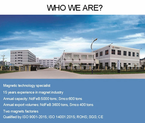 Nam Châm Hình Thang <span class=keywords><strong>Ndfeb</strong></span> Công Nghiệp Vật Liệu Từ Tính Trung Quốc Nam Châm Neodymium N50 N52 Nam Châm Không Đều - Product Image 6