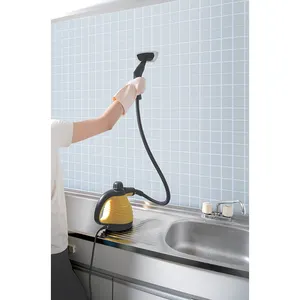 Hot Handheld Professional Steam Cleaner for Floor Carpet Window Clothes Kitchen Bathroom with GS CE Compact & Lightweight Device