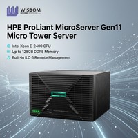 Nuevo Servidor de Almacenamiento de Archivos Mini Tower 4 LFF sin Discos, RAM DDR5, Gestión Remota ILO6, HPE ProLiant MicroServer Gen11 en Stock