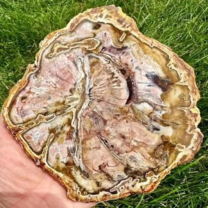 400-500g Laser Engraving Blanks Miner Tea Tray Polished <b>Crystal</b> Stone Slice Petrified Wooden <b>Coasters</b> Fossil Slab <b>Crystal</b> - Product Image 2