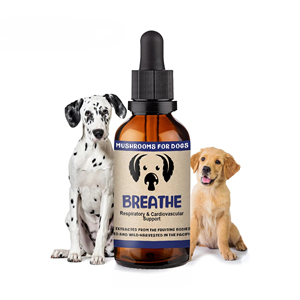 Complément alimentaire OEM pour la santé des animaux de compagnie, à base d'extrait de champignon et d'adaptogènes, pour chiens ayant des problèmes respiratoires - Product Image 1
