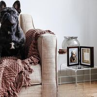 Cadre photo moderne et écologique pour empreintes de pattes de chien, cadeau commémoratif pour animaux de compagnie, en promotion